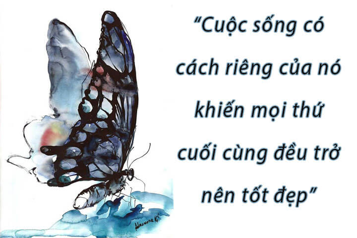 Bướm đen báo hiệu điềm gì