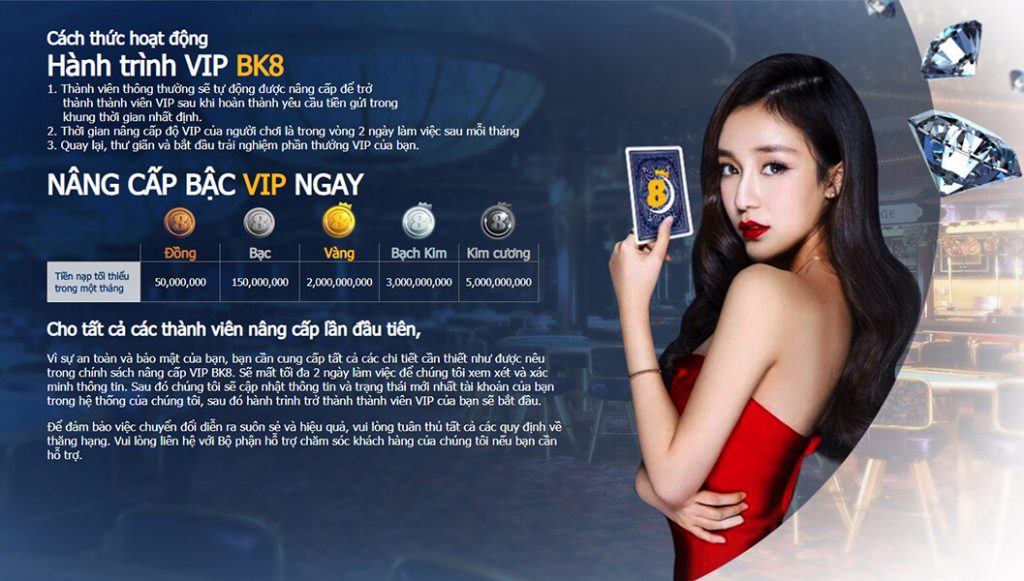 chương trình VIP
