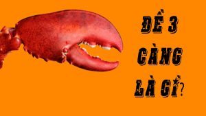 Đề 3 càng