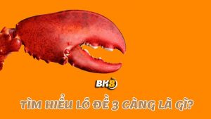 Lô đề 3 càng là gì?